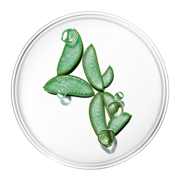 Naturkosmetik | Spülung SANTE Sensitiv Bisabolo Vera & Bio-Aloe Extra