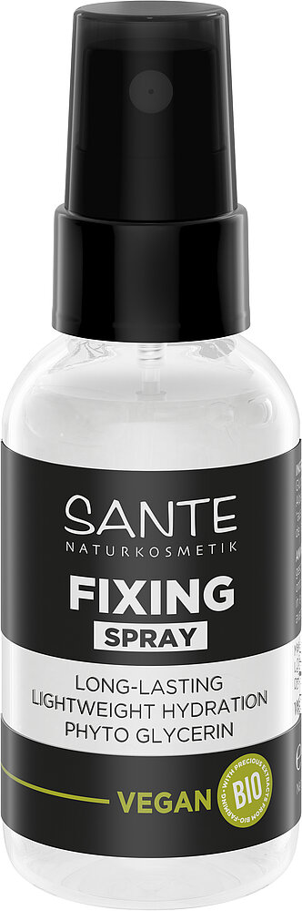 Fixing Spray